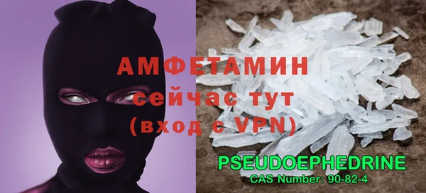сатива Ростов