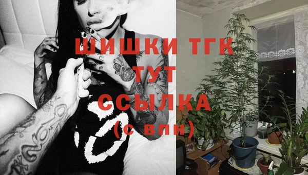 сатива Ростов