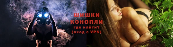 стафф Россошь