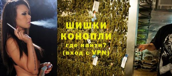 сатива Ростов