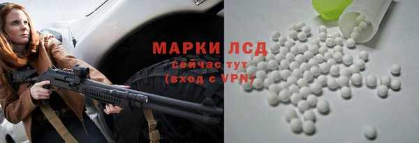 стафф Россошь