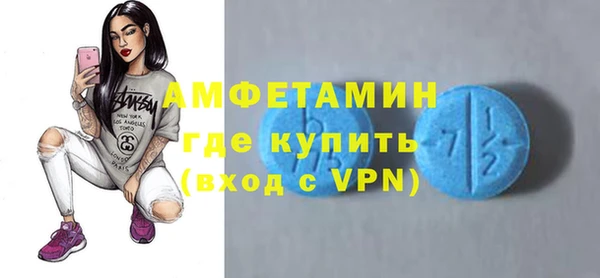 сатива Ростов