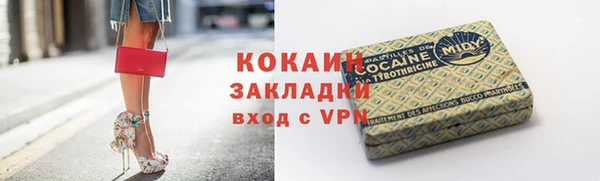 сатива Ростов