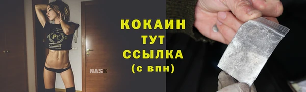 стафф Россошь