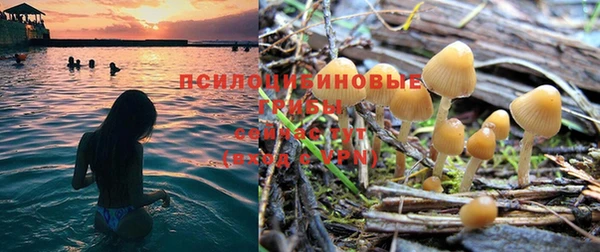 стафф Россошь