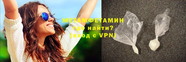 сатива Ростов