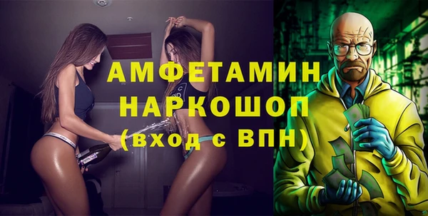 сатива Ростов