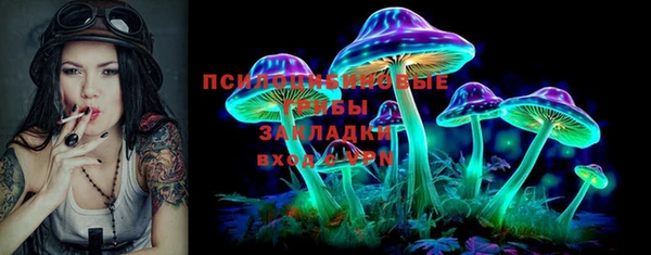 сатива Ростов